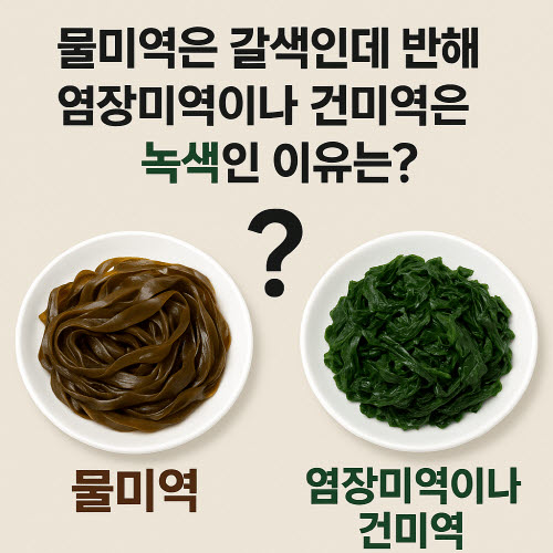 미역-색깔-차이