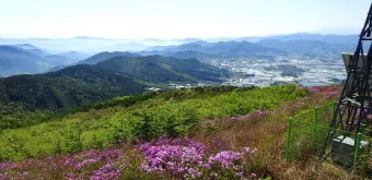 남원 봉화산 철쭉 산행 주차장 등산코스_20