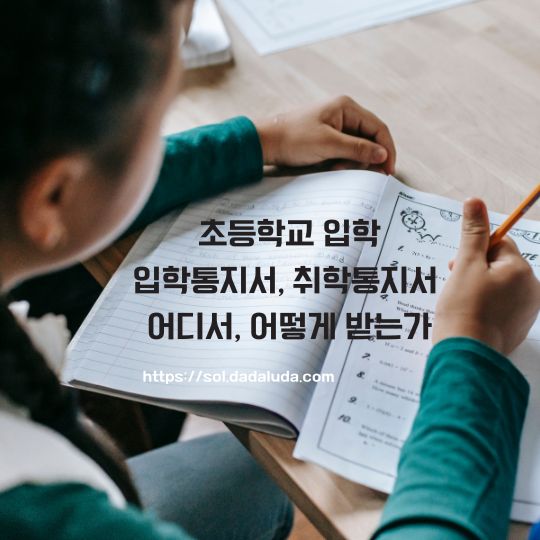 초등학교 입학통지서 취학통지서