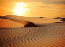 이석증 증상 및 원인 치료법 알아보기