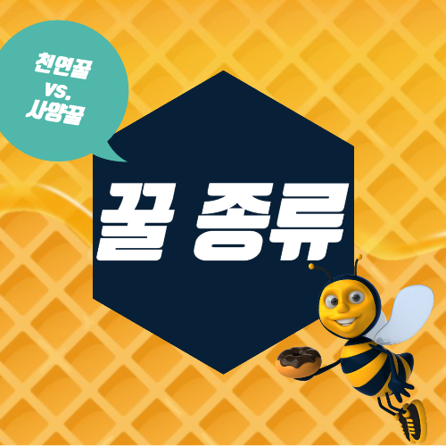 꿀종류