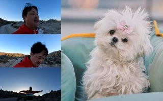 구성환 꽃분이 나이 무지개다리 사망 나혼산 국토대장정