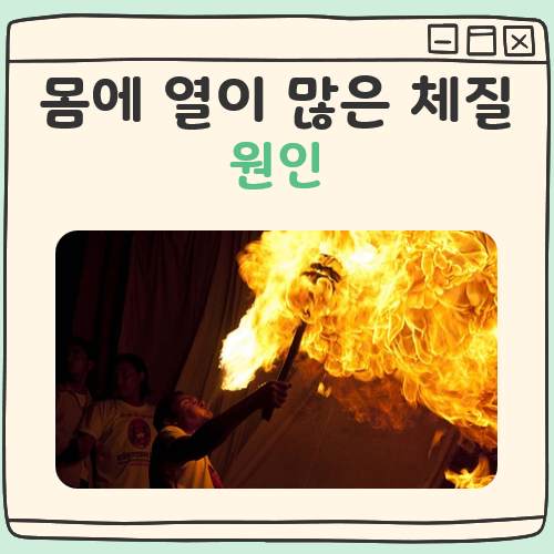 몸에 열이 많은 체질이 되는 이유 이해하기