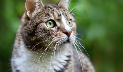 추천 제품 &amp; 사용 팁 관련 사진