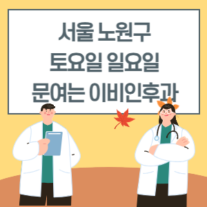 서울 노원구 토요일 일요일 이비인후과 진료 병원 리스트