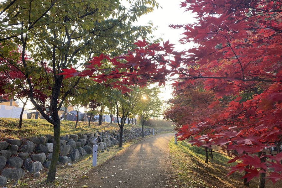 연천군 한탄강관광지 오토캠핑장 소개