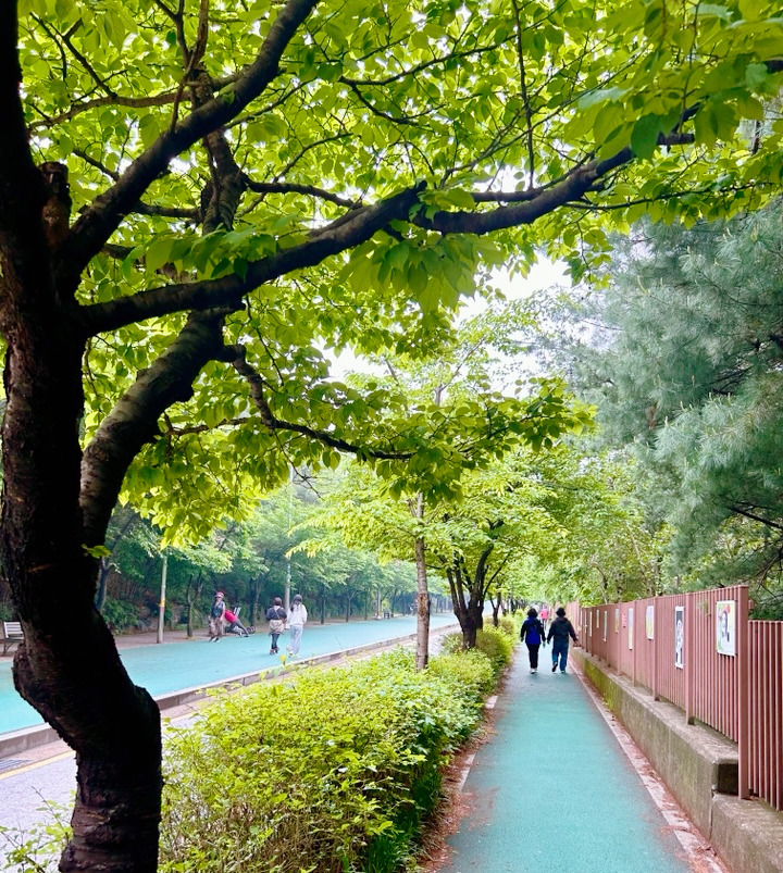 아침산책을이미지