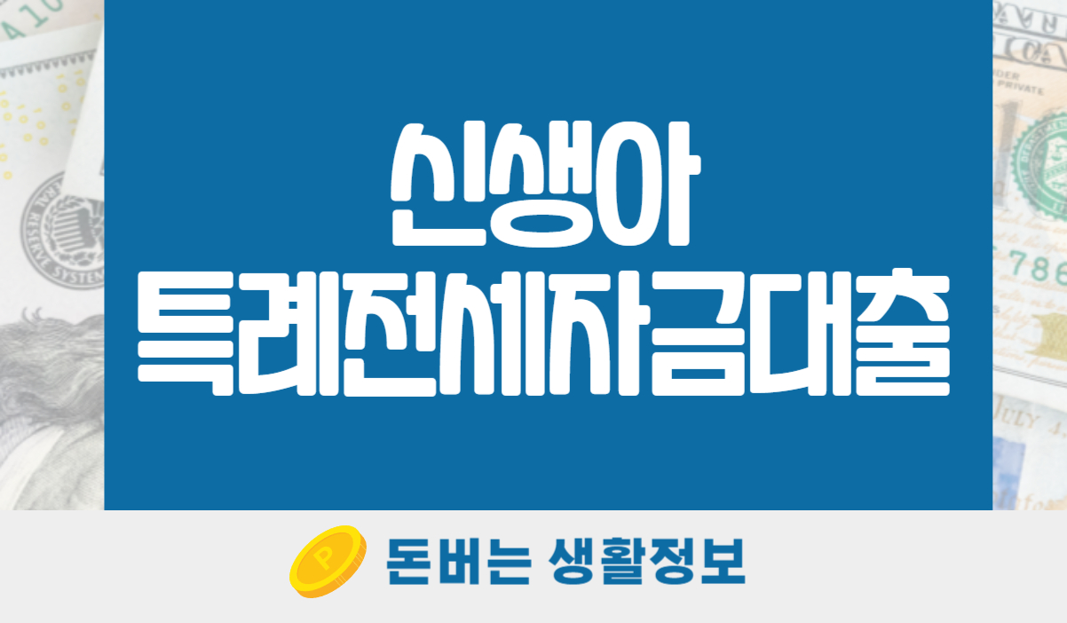 신생아 특례전세자금대출 자산기준