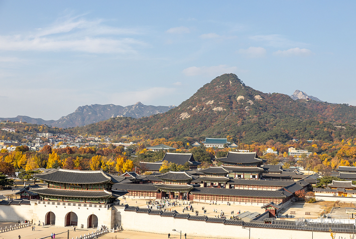 서울 궁궐 단풍투어 (경복궁&amp;#44; 창경궁&amp;#44; 덕수궁 비교)