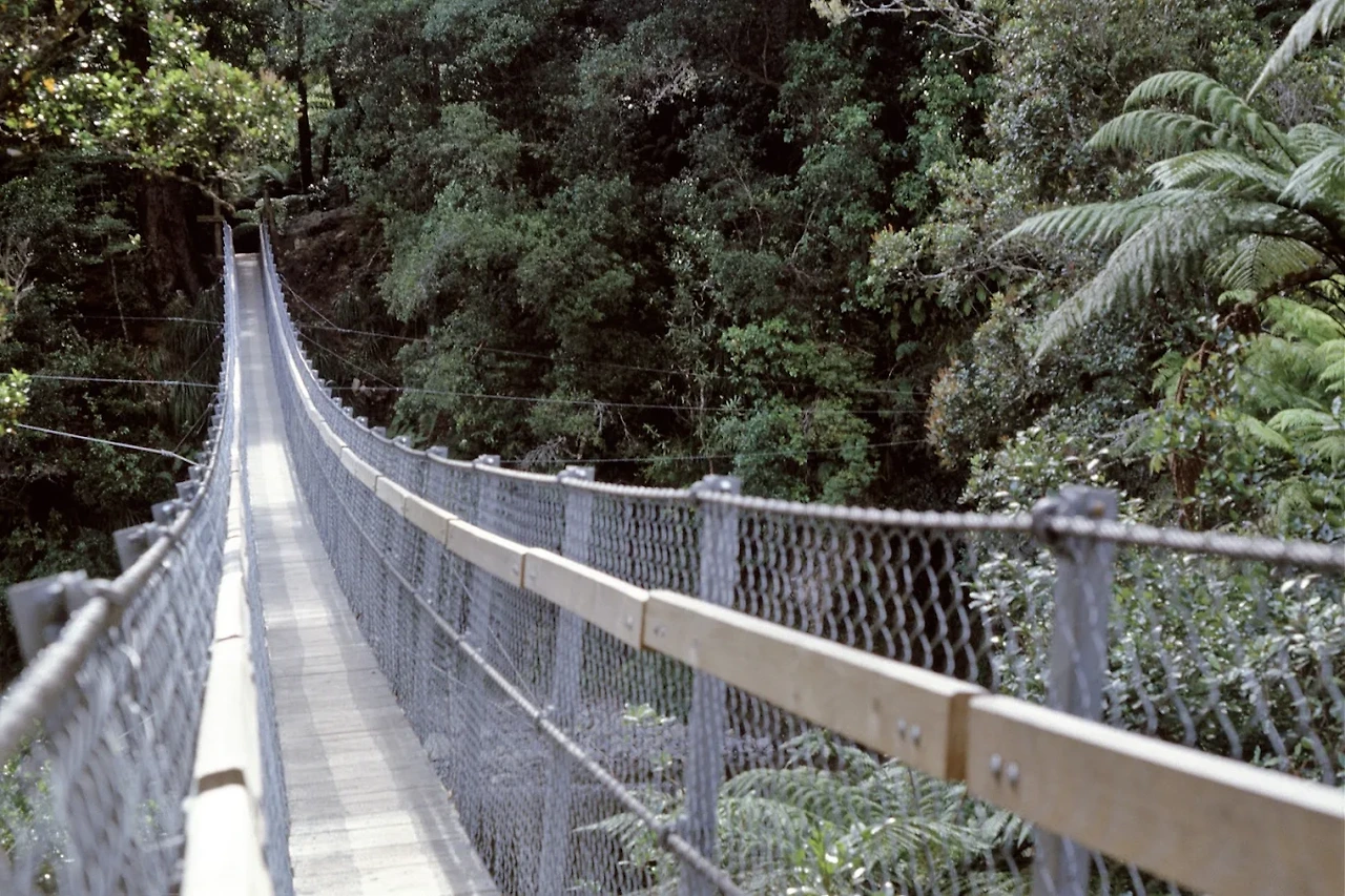 카이토키 공원내 흔들 다리사진