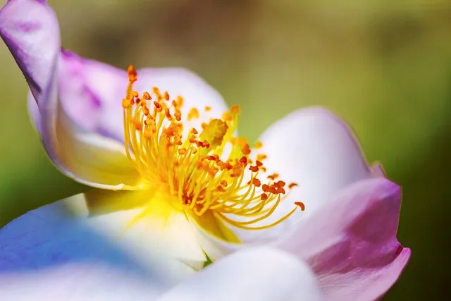 도장 스캔해서 배경 제거하는 방법 간편하게 투명 처리하기_5