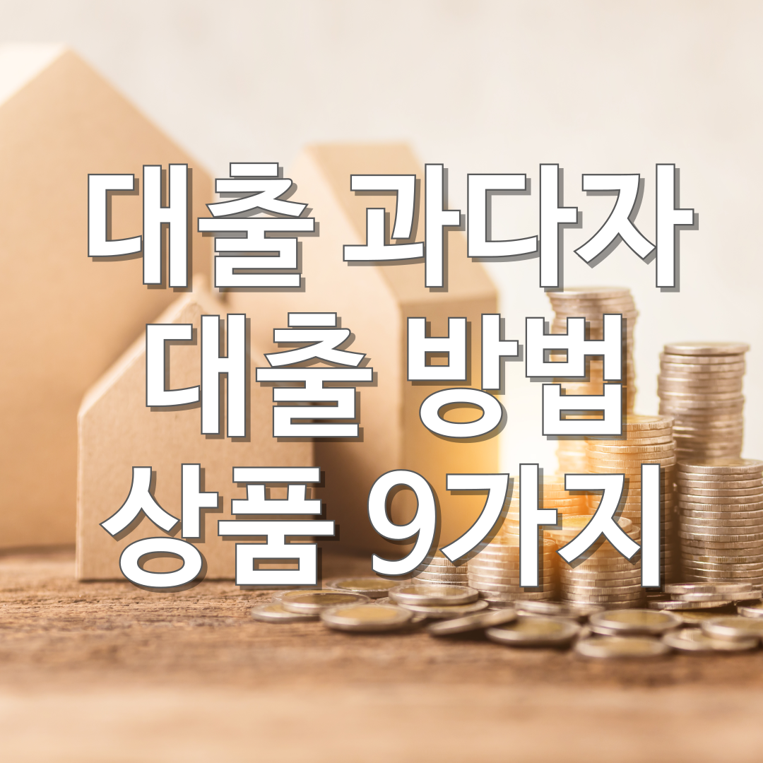 기대출 과다자 대출