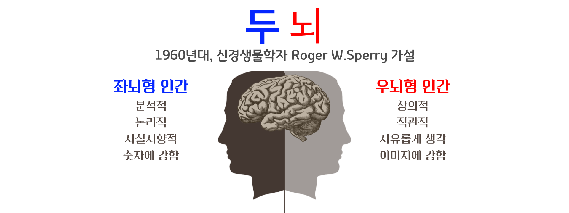 좌뇌형_우뇌형_뉴로피드백