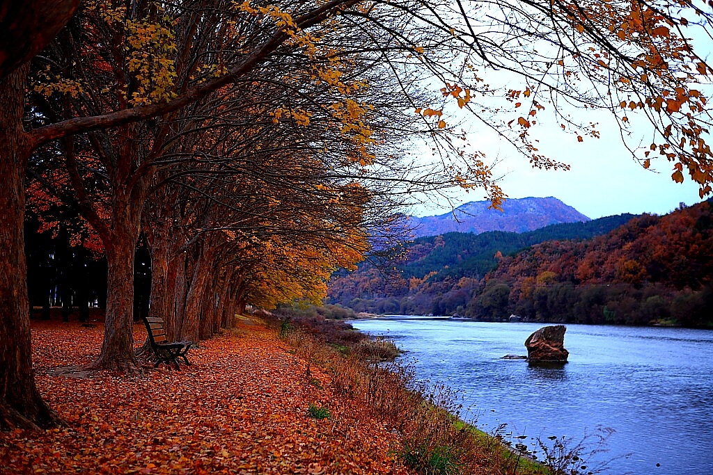 충북 영동 단풍 명소 송호관광지