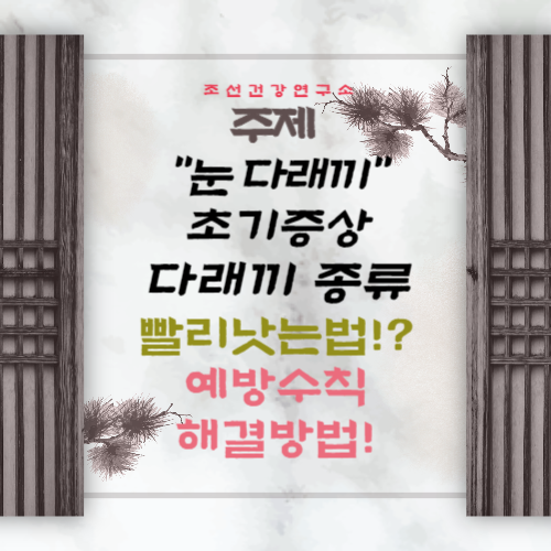 다래끼 원인 종류 빨리낫는법 눈다래끼 초기증상 치료 전염 찜질