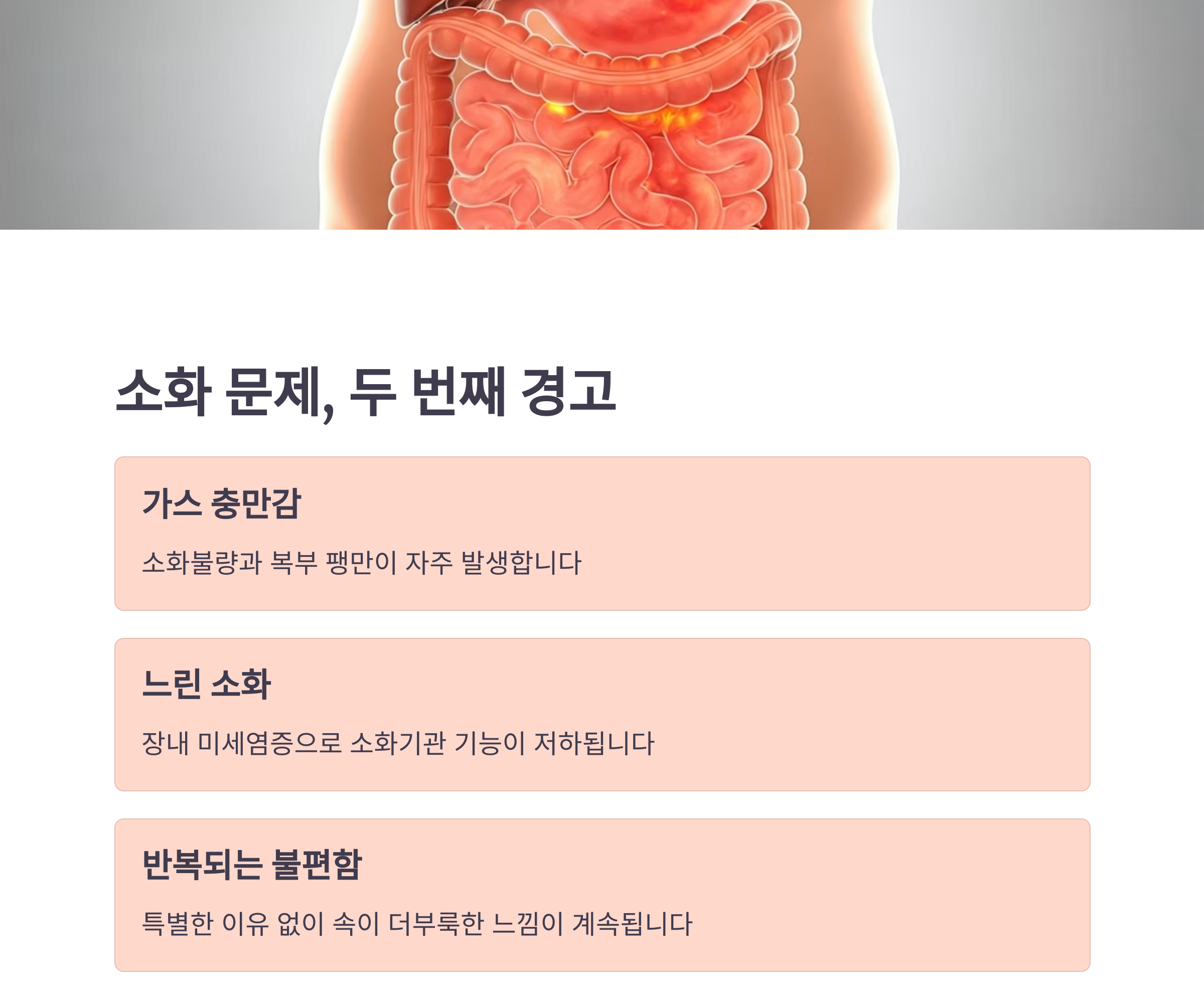 배에 가스가 자주 차고 소화가 느리다