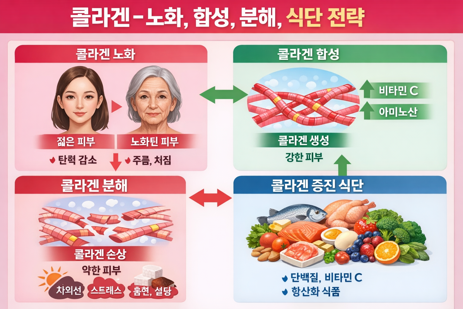 collagen-aging-synthesis-breakdown-diet-strategy