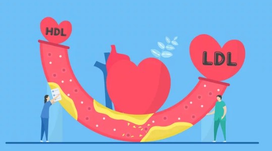 폴리코사놀 효능&amp;#44; 사탕수수가 중요한 이유&amp;#44; 나이가 들어 감에 따라 각종 질병에 노출되어 고혈압&amp;#44; 당뇨 등의 대사증후군을 일으키고 뇌심혈관질환으로 이어지게 됩니다.