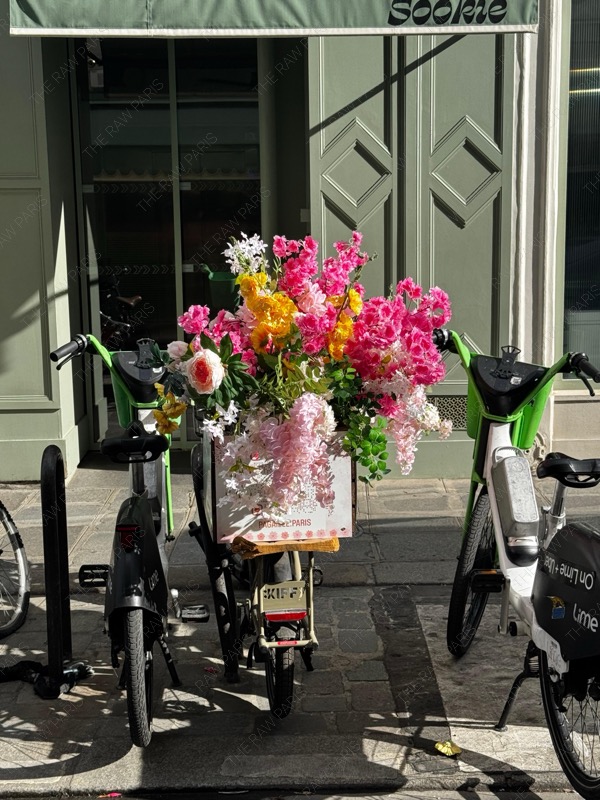 이렇게 화사하고 촌스럽게 예쁜 꽃들은 파리에서만 살아남는다.