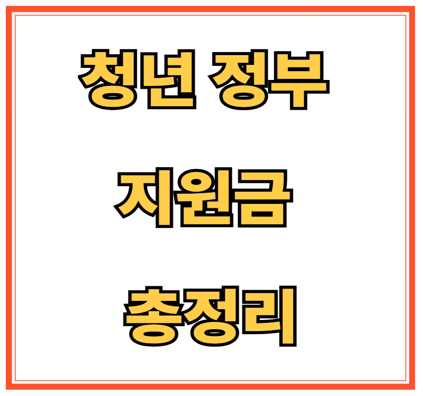 청년 정부 지원금 총정리