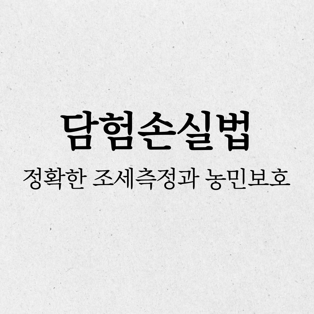 담험손실법: 정확하고 공정한 조세측정
