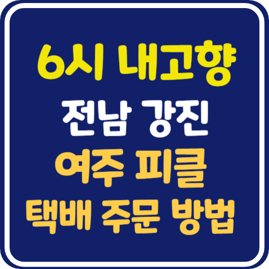 6시 내고향 전남 강진 여주 피클 택배 주문 방법
