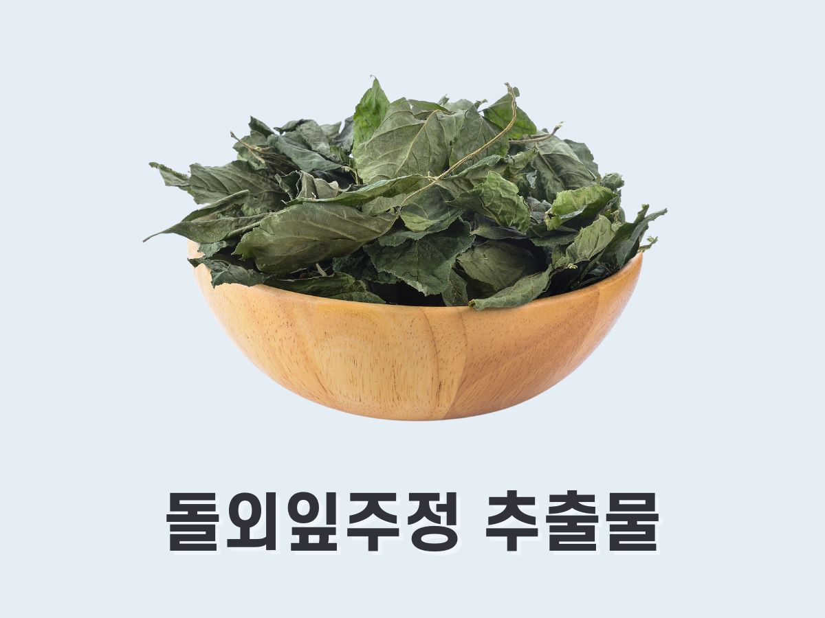 돌외잎주정 추출물(Damulin A)