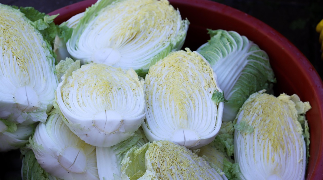 김장철 피로 푸는 방법