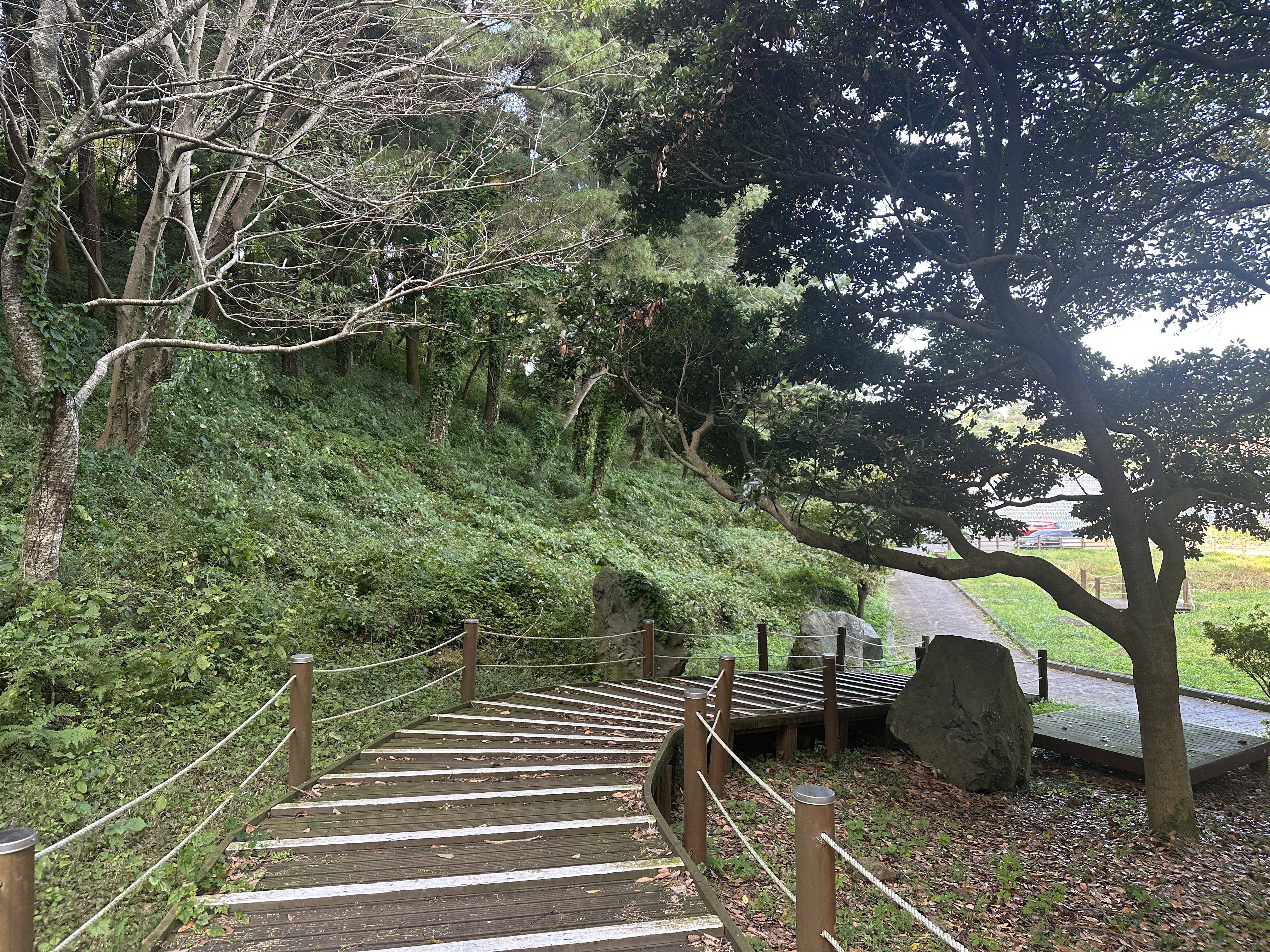 안세미 오름 입구 