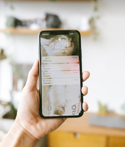 알림 서비스의 모습