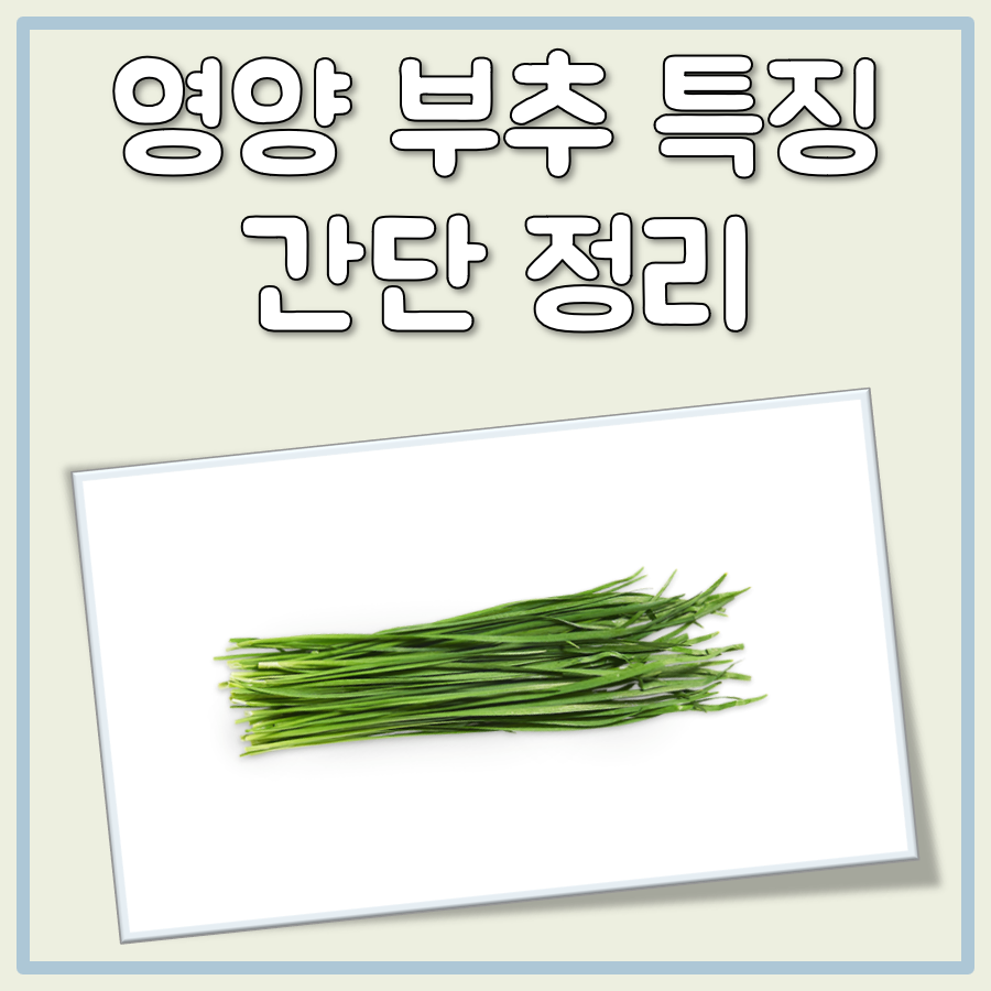 영양 부추 대표 이미지