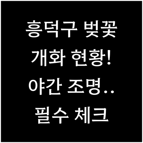 2026년 청주 흥덕구 벚꽃 개화 현..