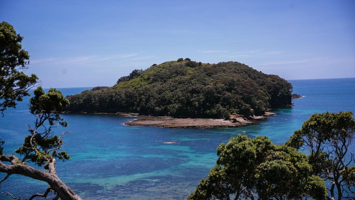 뉴질랜드 오클랜드 염소 섬 (Goat Island)의 이미지