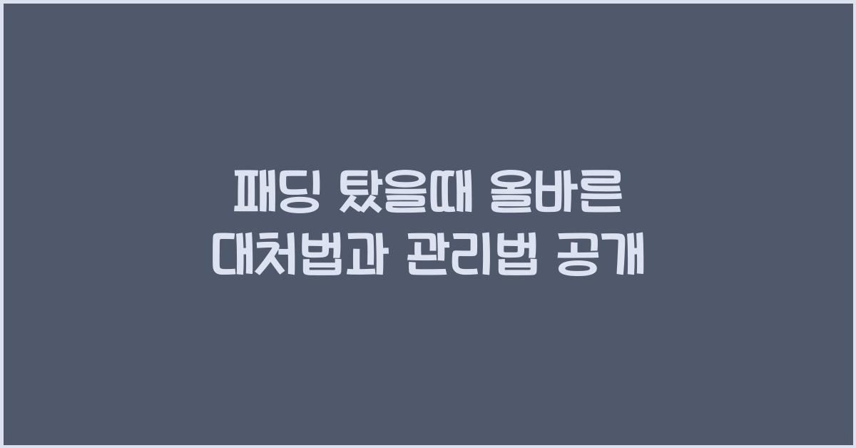패딩 탔을때
