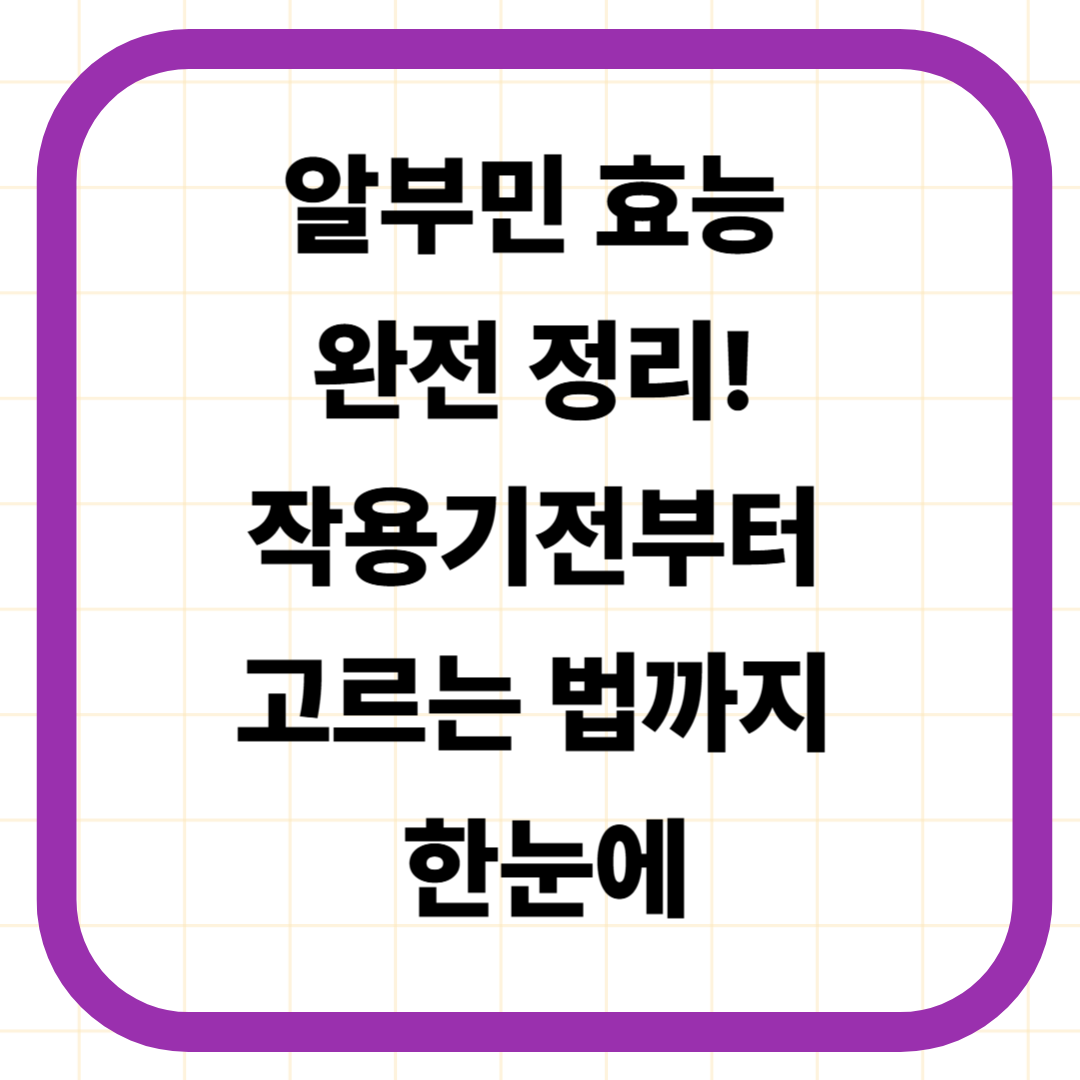 알부민 효능 완전 정리! 작용기전부터 고르는 법까지 한눈에