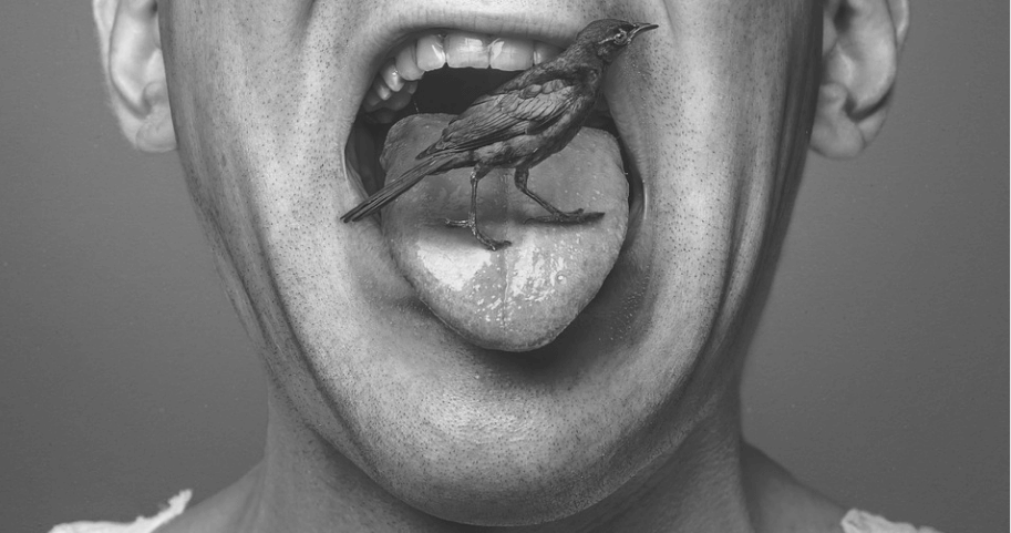 혓바닥에 참새가 앉아 있다.