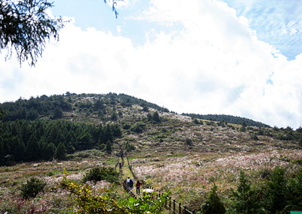 백약이 오름 오르는길