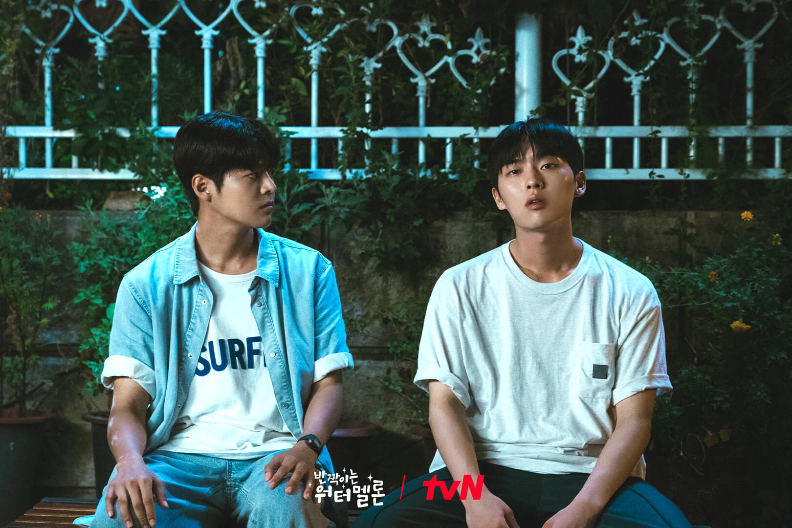 반짝이는 워터멜론