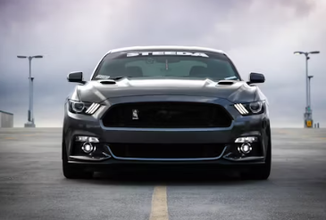 k car 중고차 k car 직영 중고차 직영점