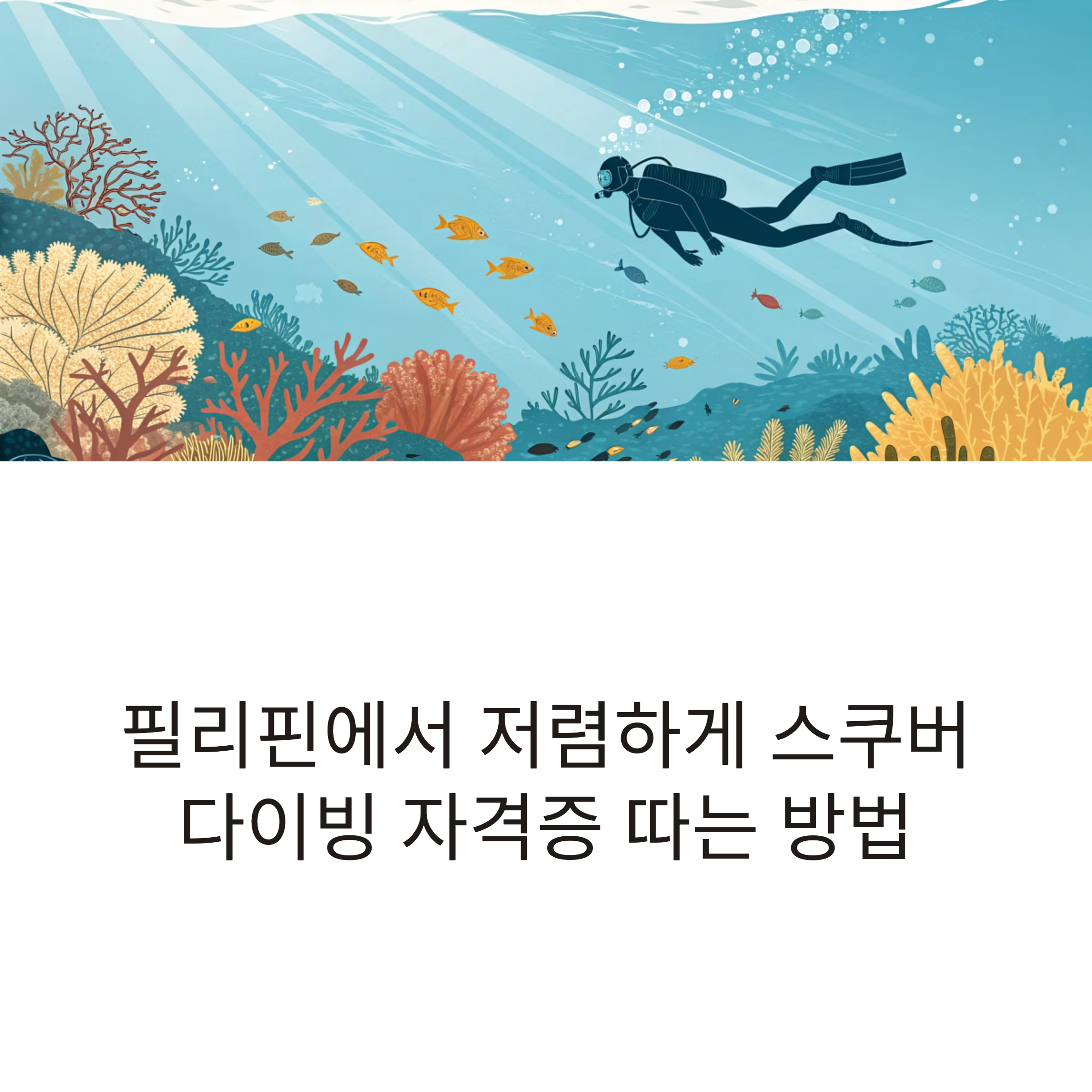저렴하게 스쿠버다이빙 자격증 따는 법
