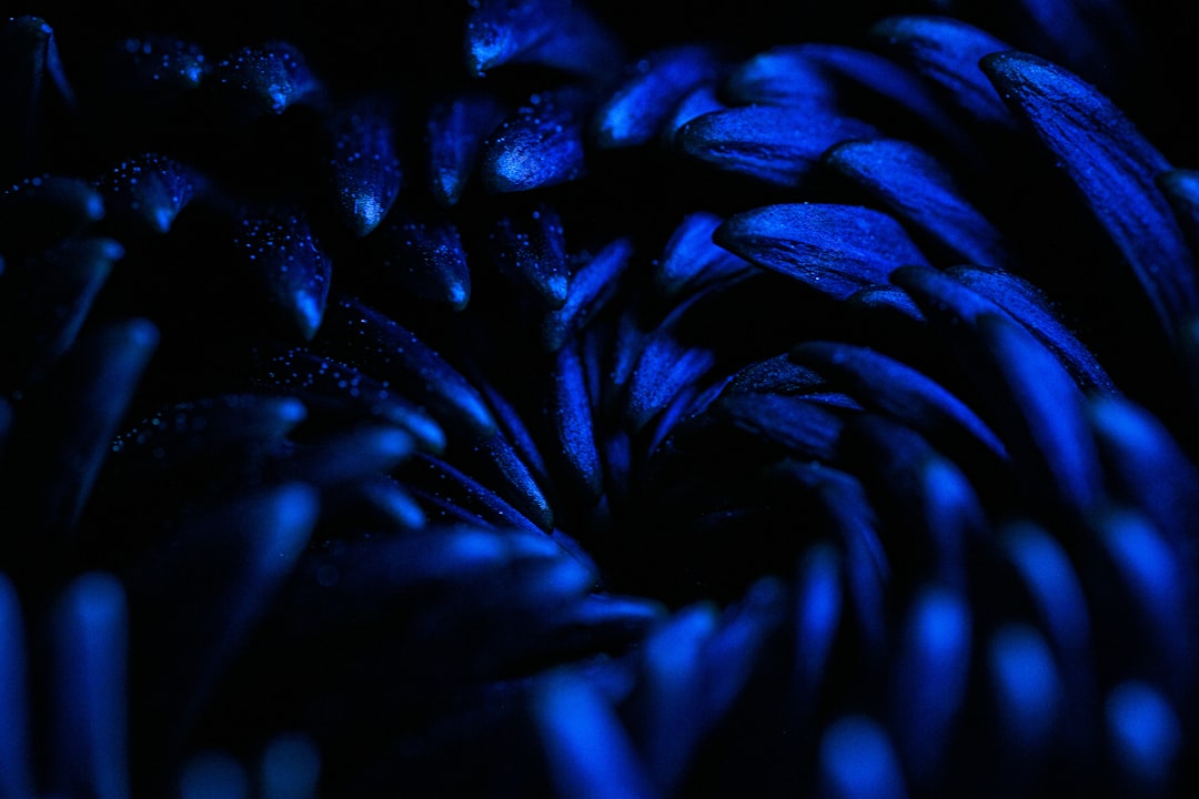 Blue carbon