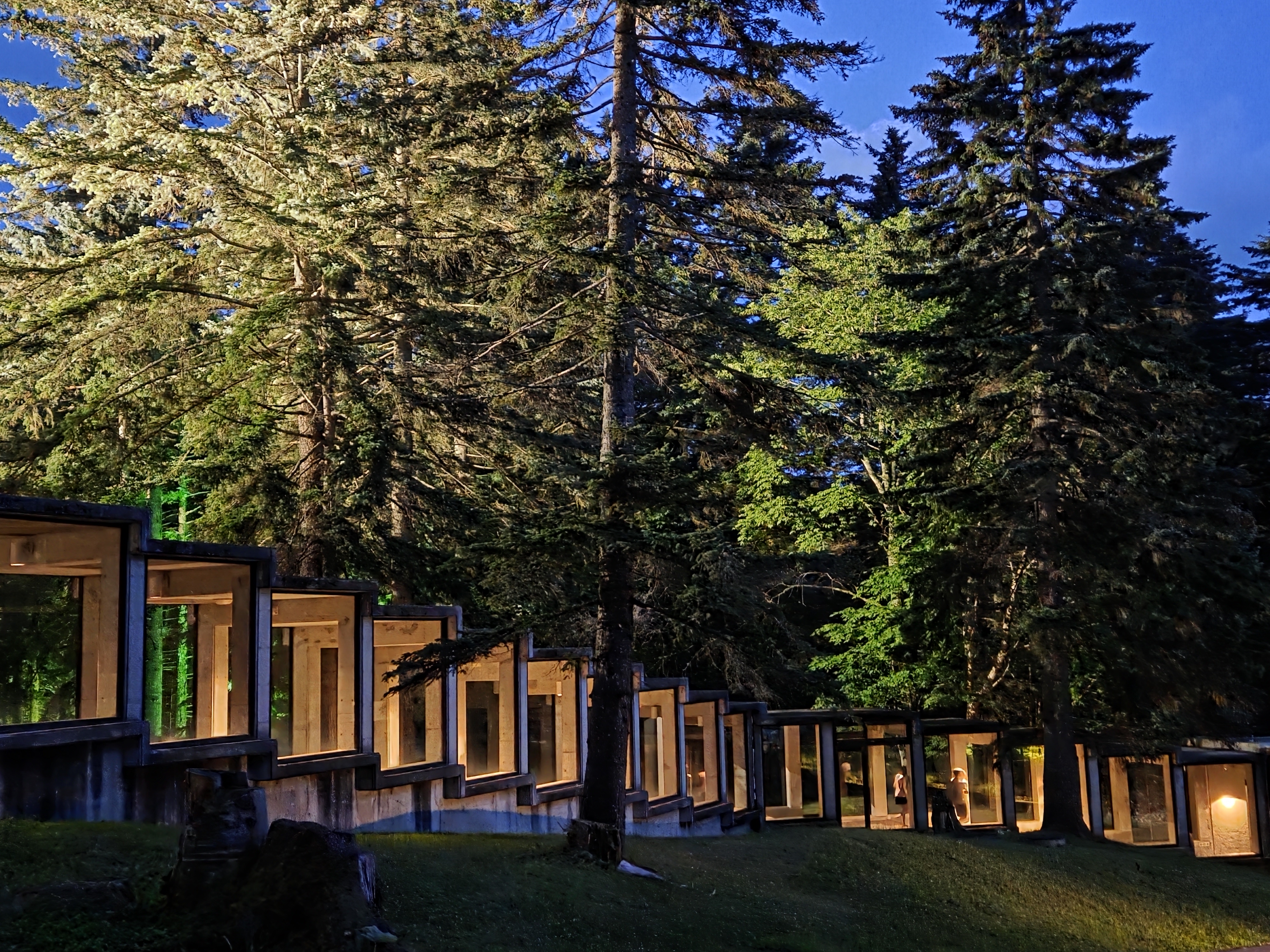 니니누푸리에서 더 타워로 향하는 길, 숲과 조명이 어우러진 산책로