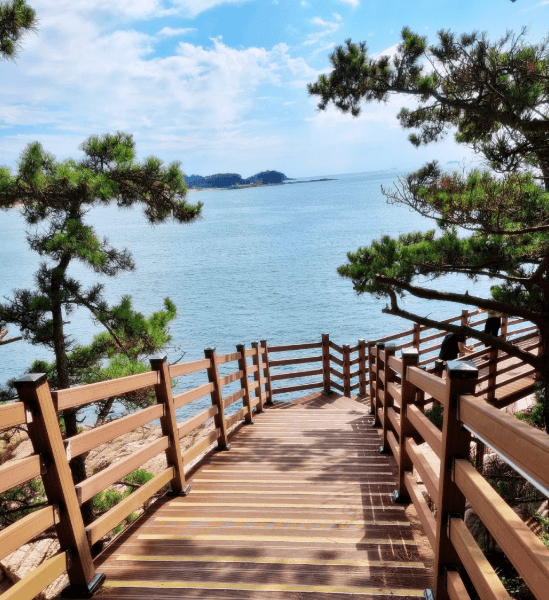 물닭섬-산책로