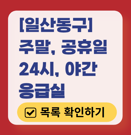 고양시 일산동구 응급실 운영 병원 리스트 ❘ 주말, 토요일, 일요일, 공휴일 응급의학과 ❘ 24시 야간 응급진료 가능한 곳