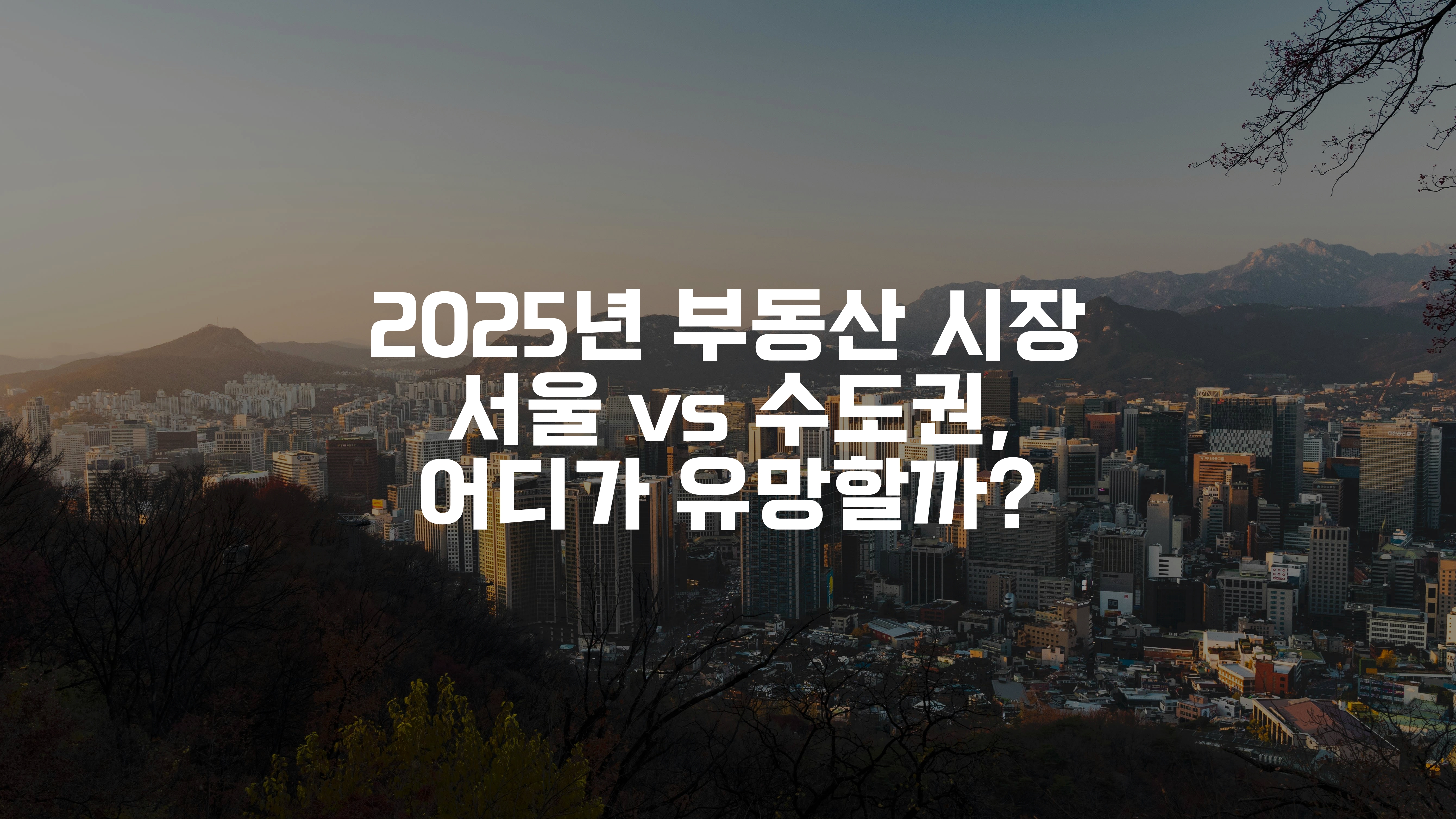 서울의 도심과 멀리 보이는 산