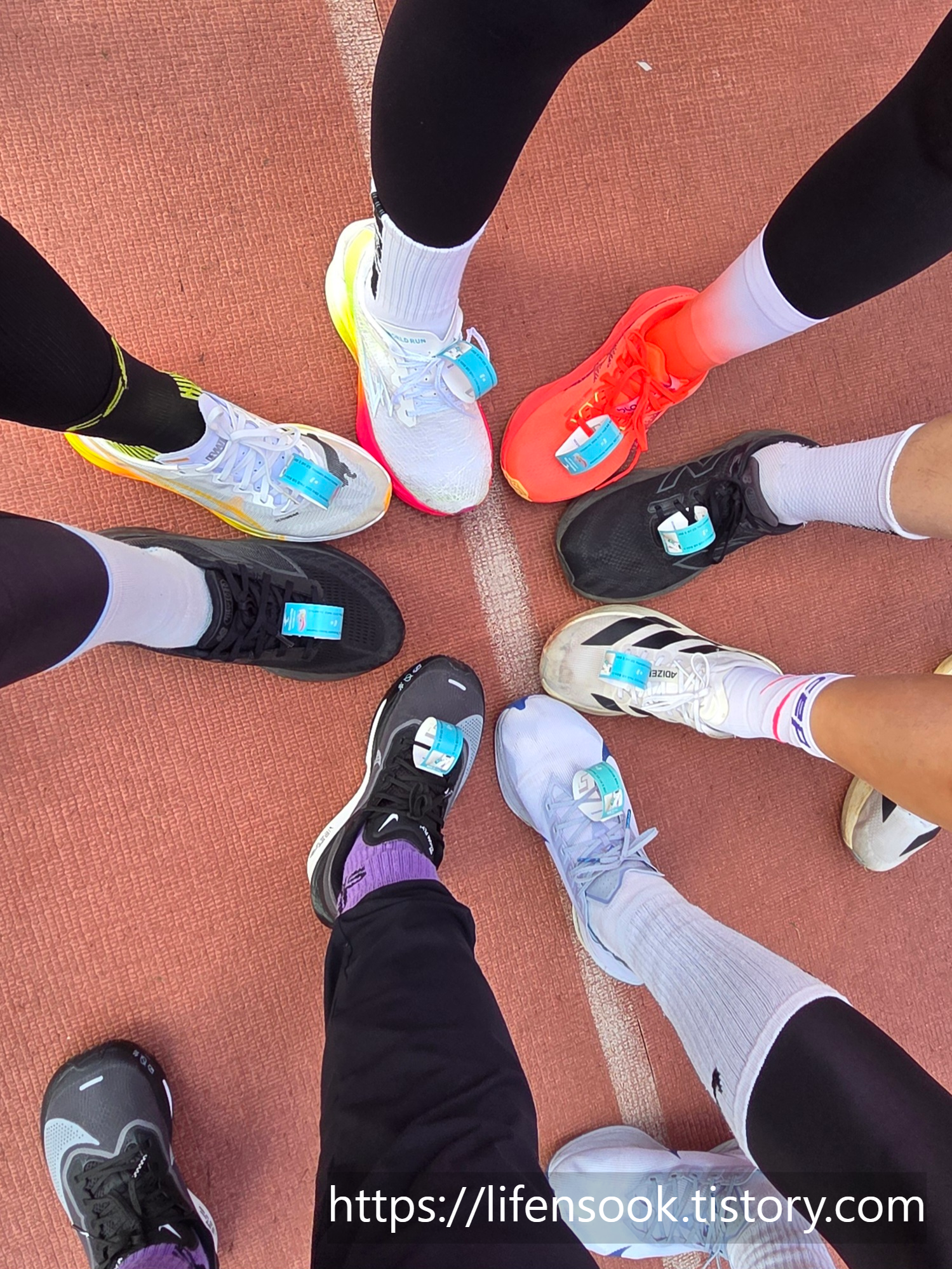 기록칩을 부착한 크루들과 함께