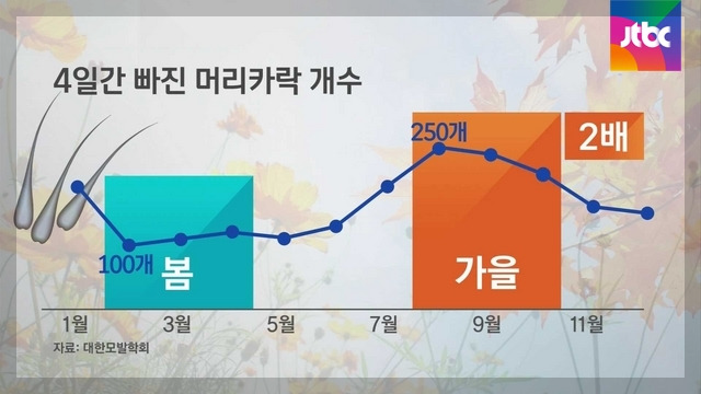 머리카락 빠지는 개수