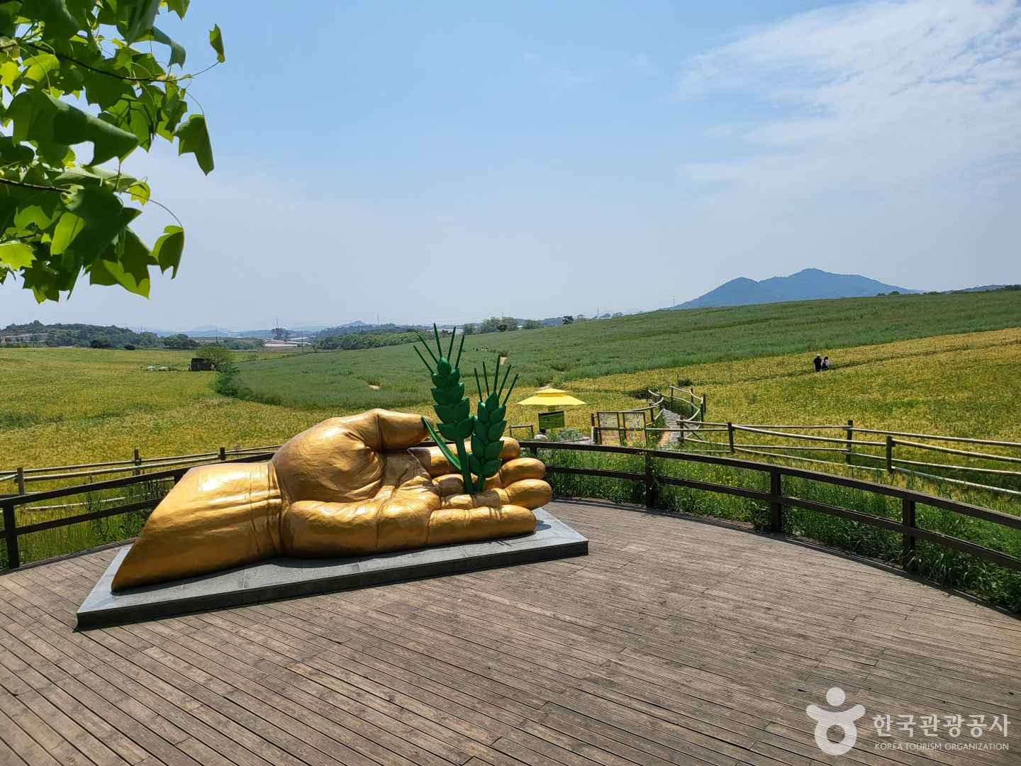 보리나라 학원농장