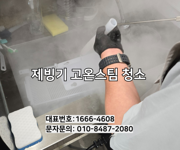 고온스팀 청소