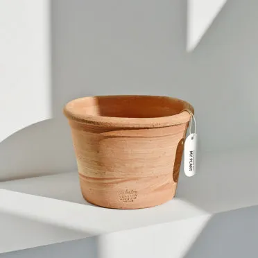 토분 관리 세척요령 흰가루제거 배수력장점 물주기 타이밍 맞추기_4